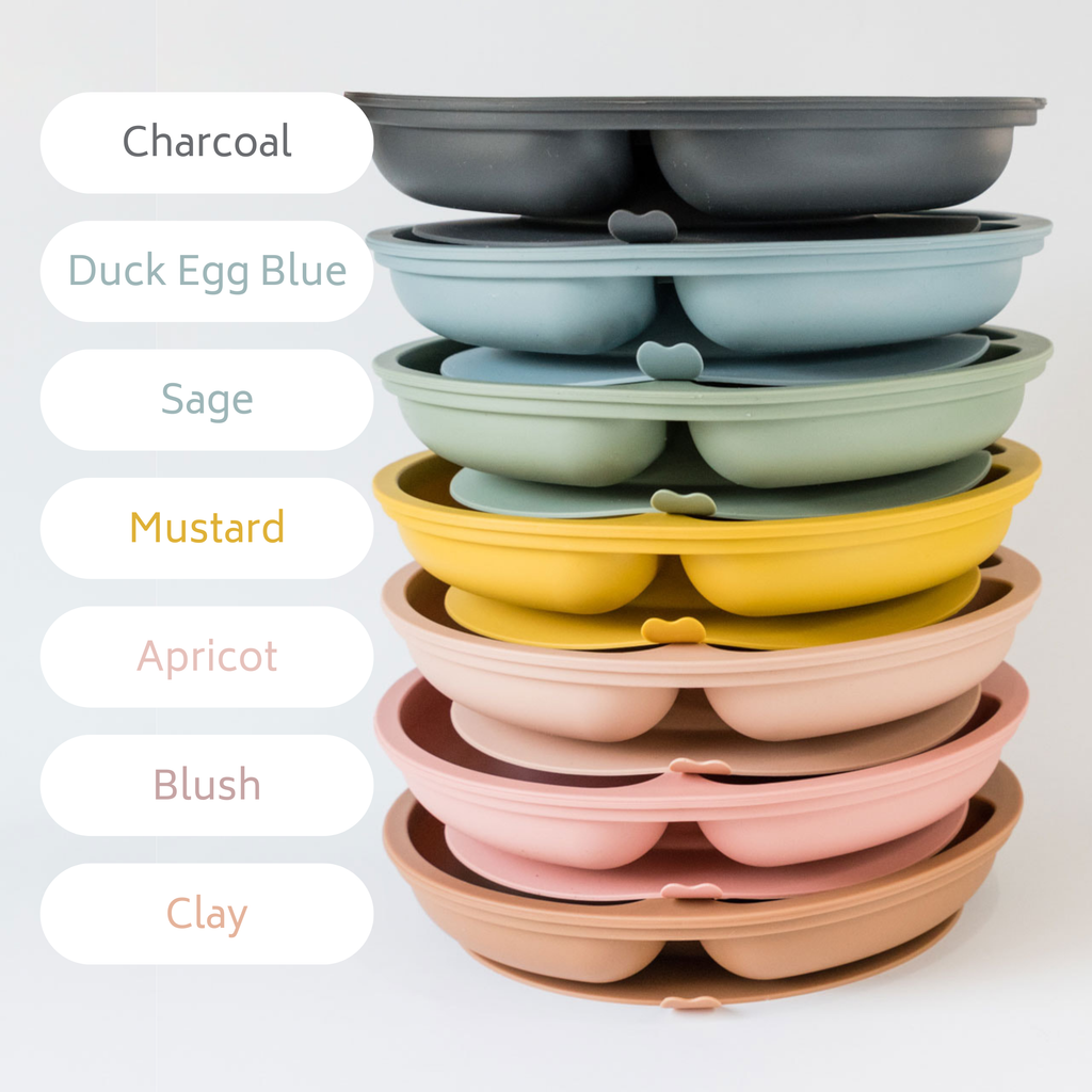 Silicone Suction Plate