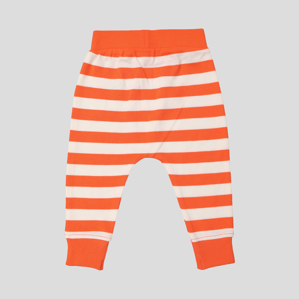 Baby Joggers for Boys - Pack of 2 (Striped & Bunny Print)
