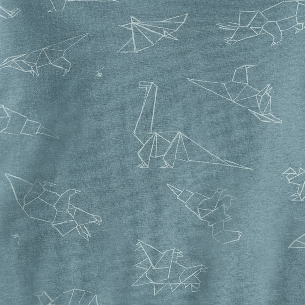 Origami Dinos Boy Tee & Shorts Set