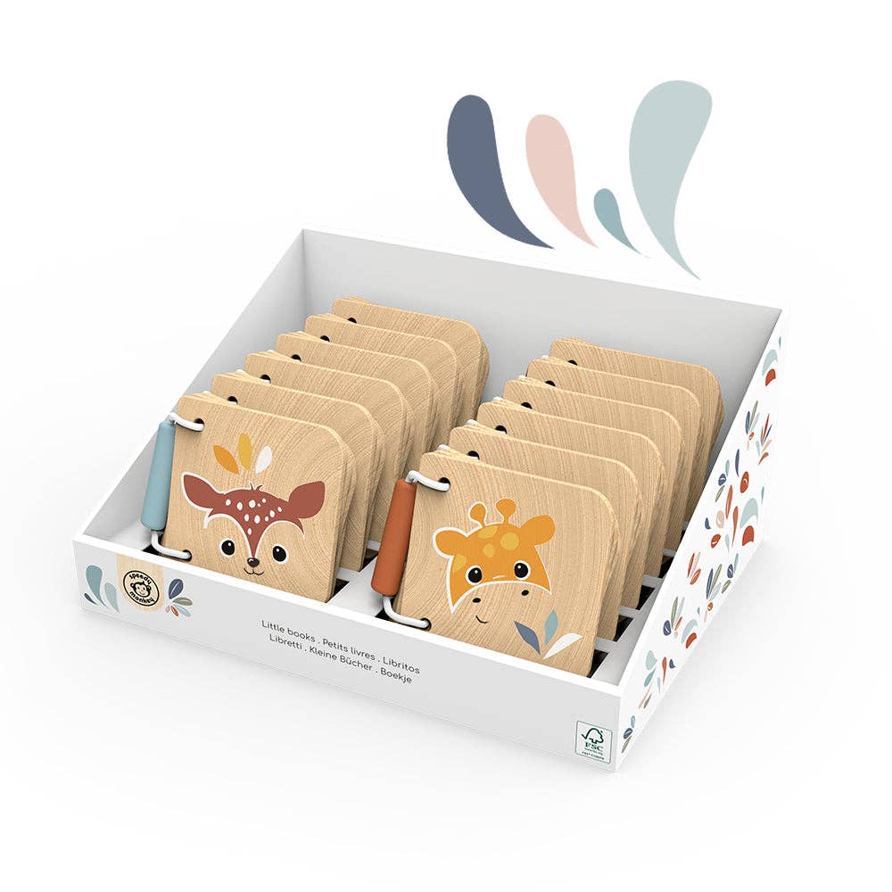 Display of Little Books (12 units)